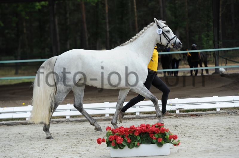Preview HWS_6428.JPG