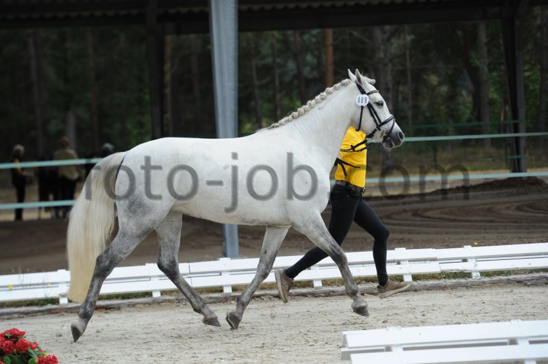 Preview HWS_6429.JPG