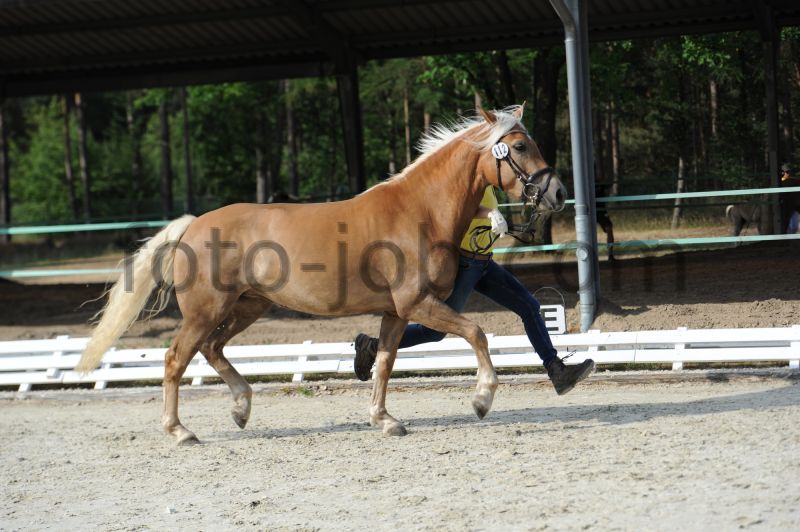 Preview HWS_8544.JPG